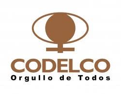 repuestos para codelco